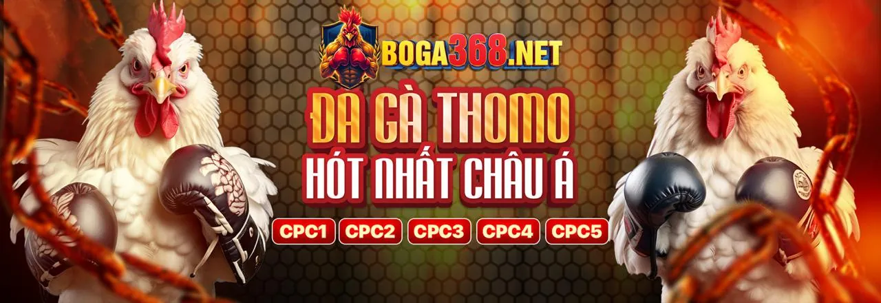 Đá Gà Trực Tuyến chơi lottery 92 - Sân chơi cá cược uy tín hàng đầu